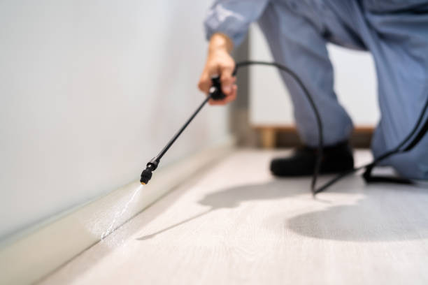 Licensed Pest Control service in Lenexa, KS - Show Me Pest Control